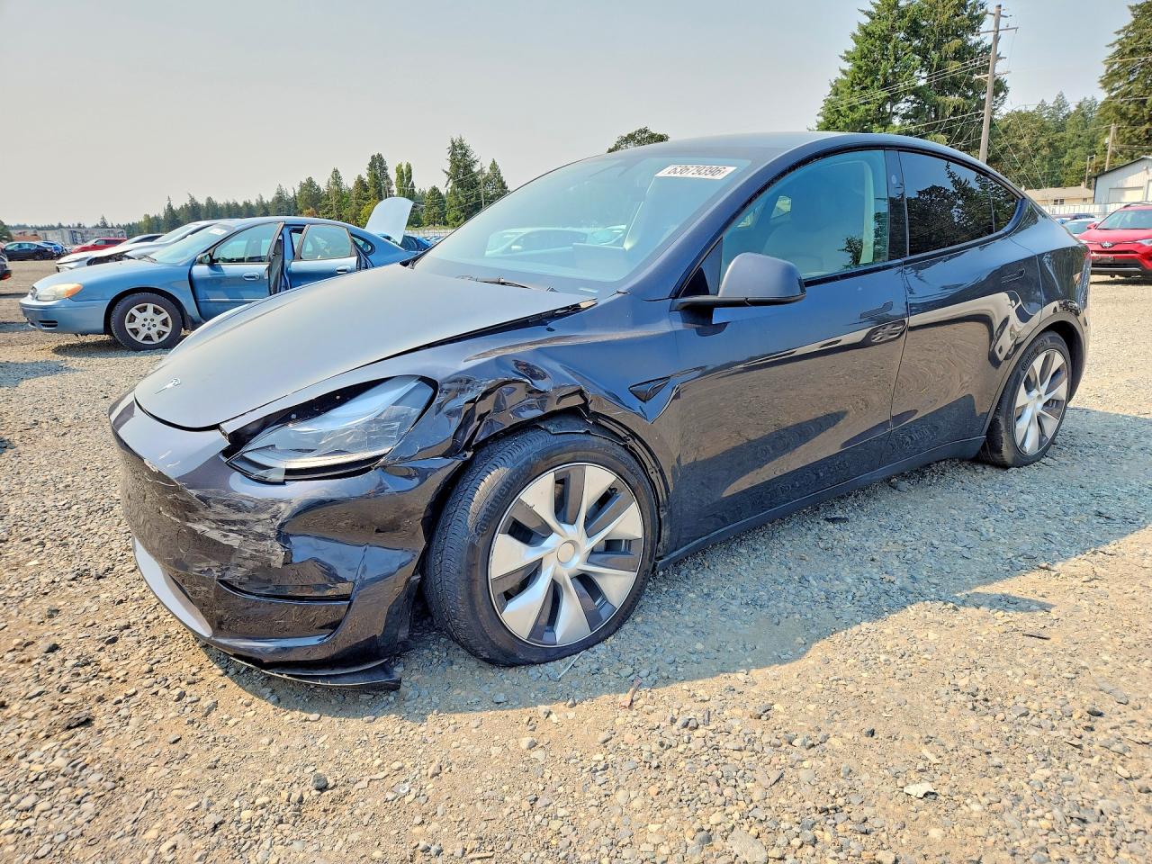 2024 TESLA MODEL Y