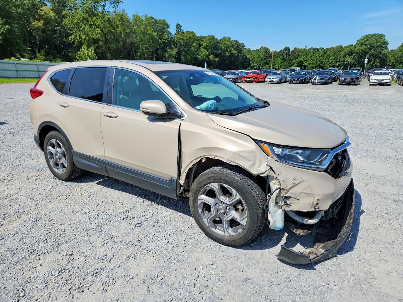 2019 HONDA CR-V EXL — снимка 4