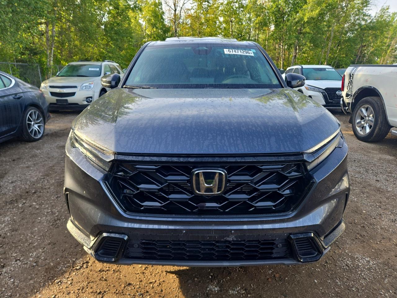 2024 HONDA CR-V EXL — снимка 5
