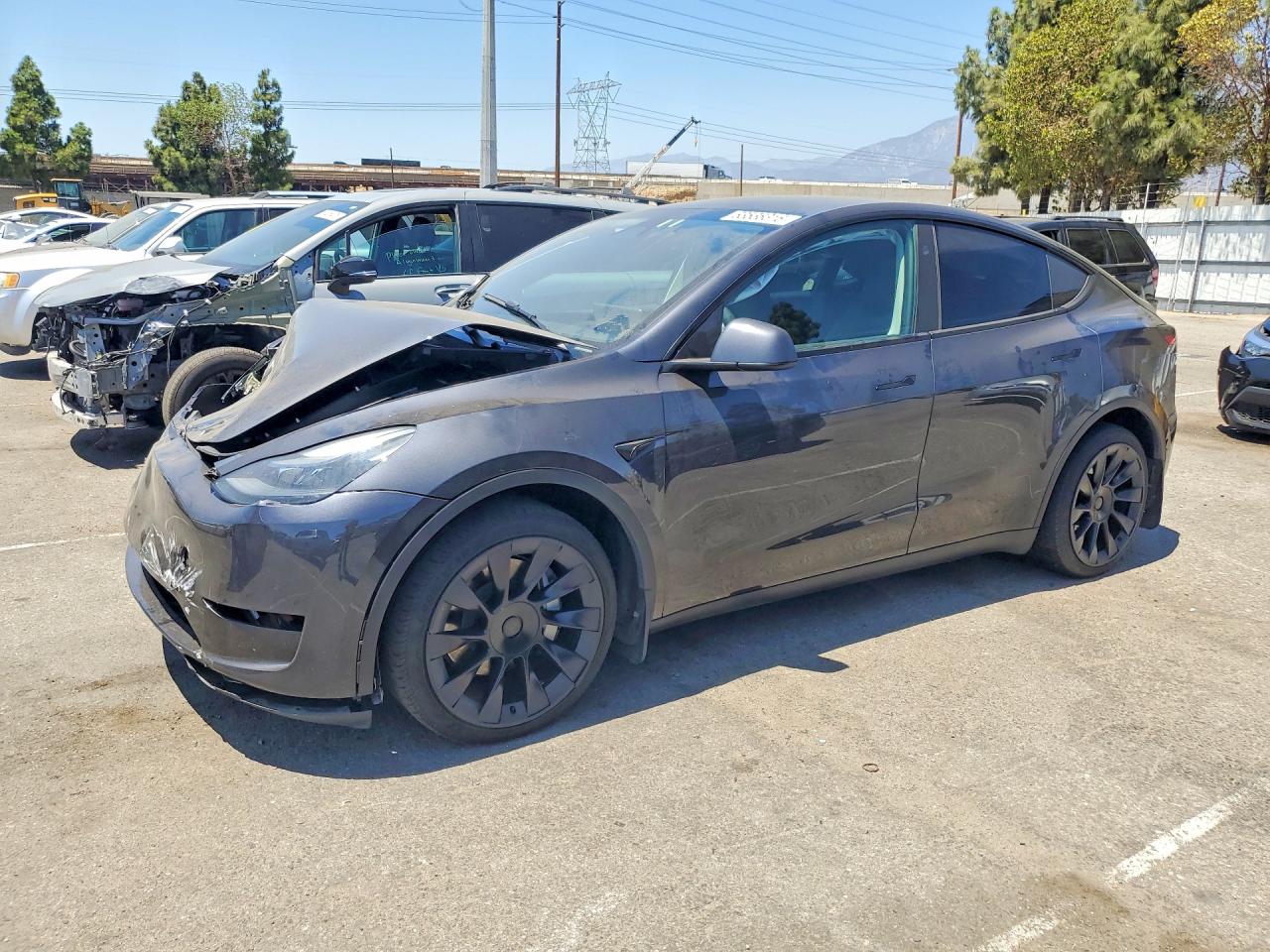 2024 TESLA MODEL Y