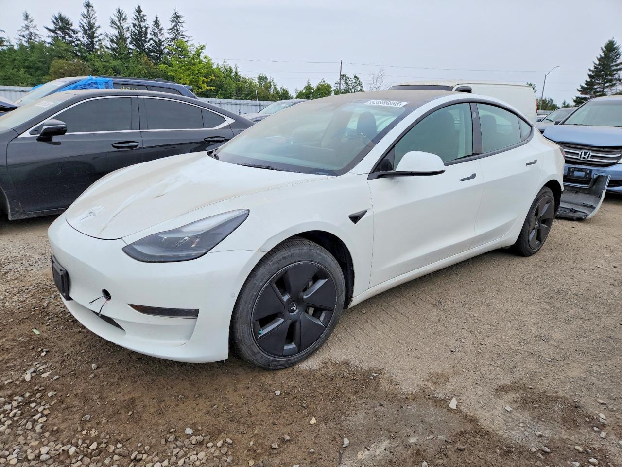 2021 TESLA MODEL 3