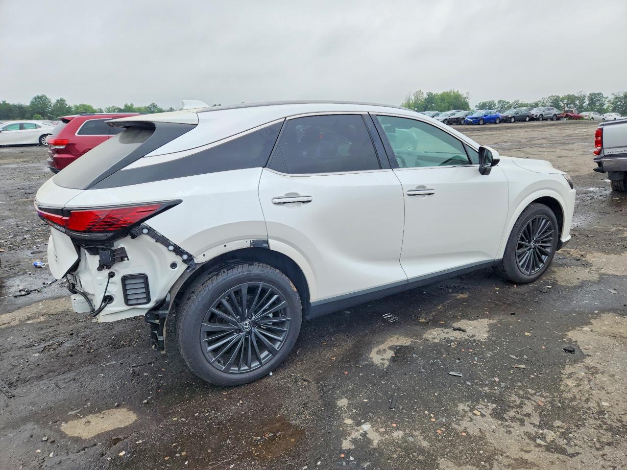 2025 LEXUS RX 350 PREMIUM — снимка 3