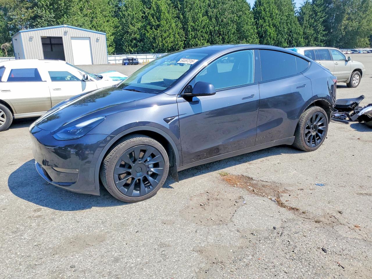 2024 TESLA MODEL Y