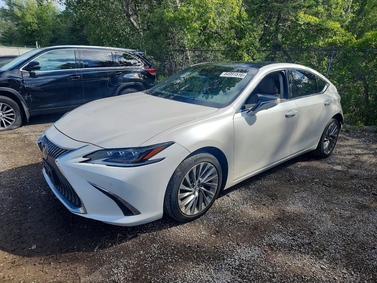 2019 LEXUS ES 350
