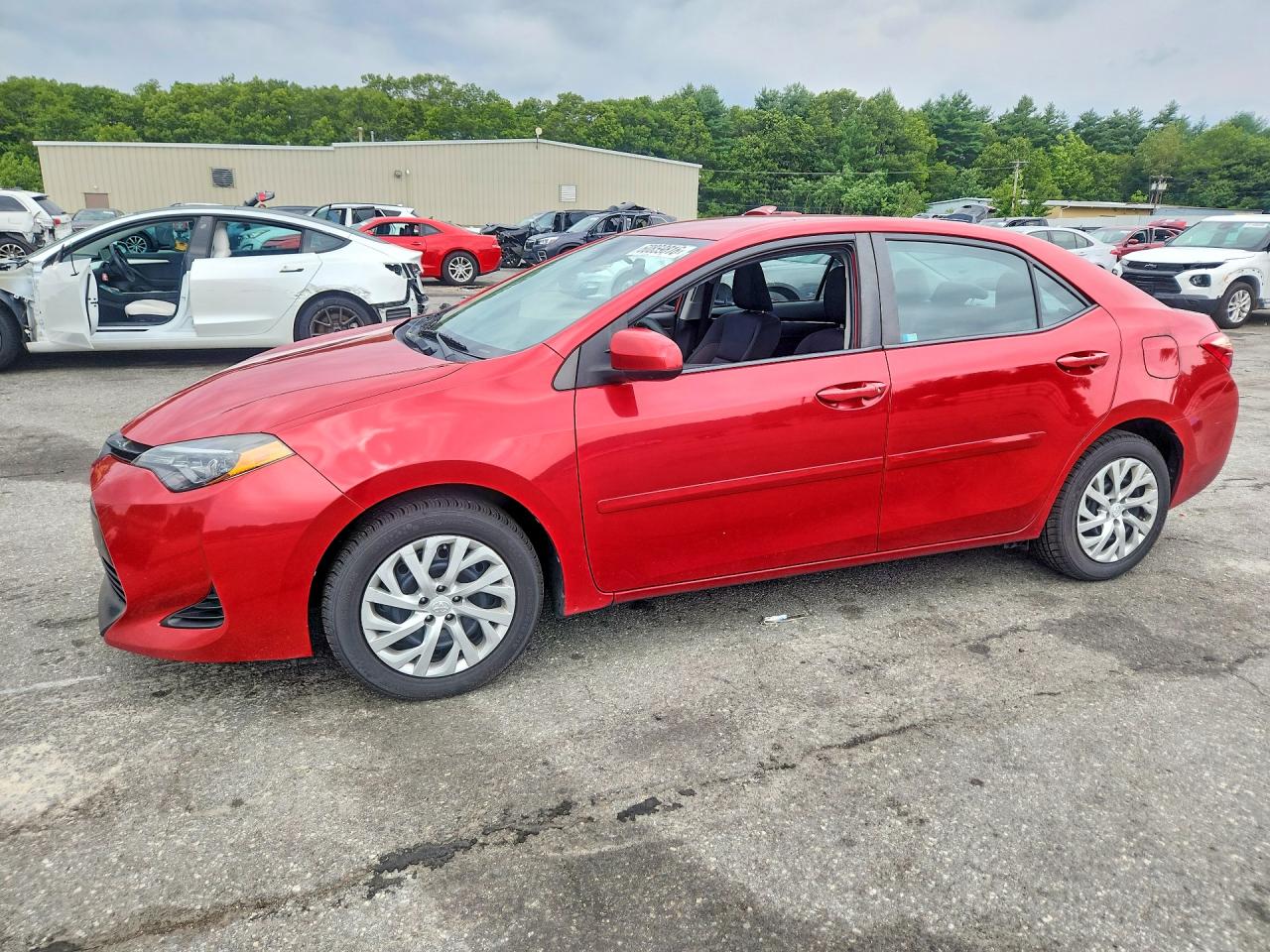 2019 TOYOTA COROLLA LE