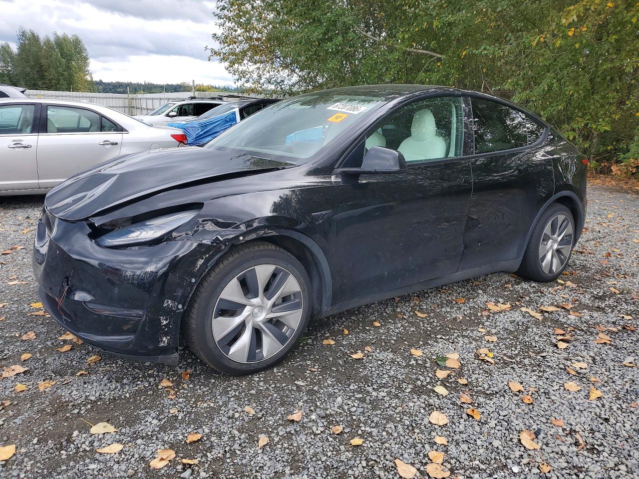 2021 TESLA MODEL Y