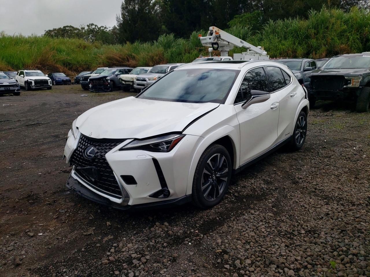 2022 LEXUS UX 250H BASE
