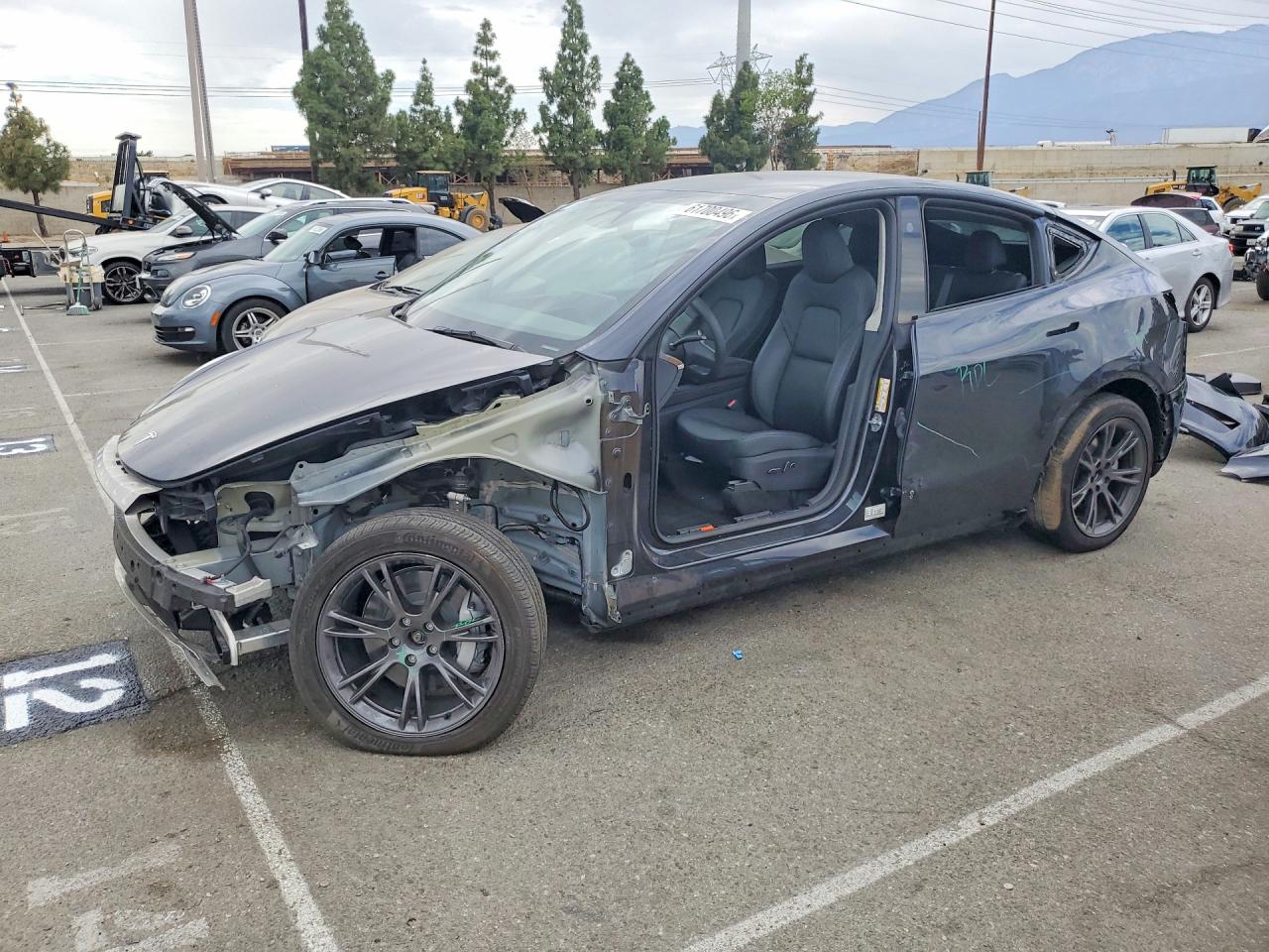 2025 TESLA MODEL Y