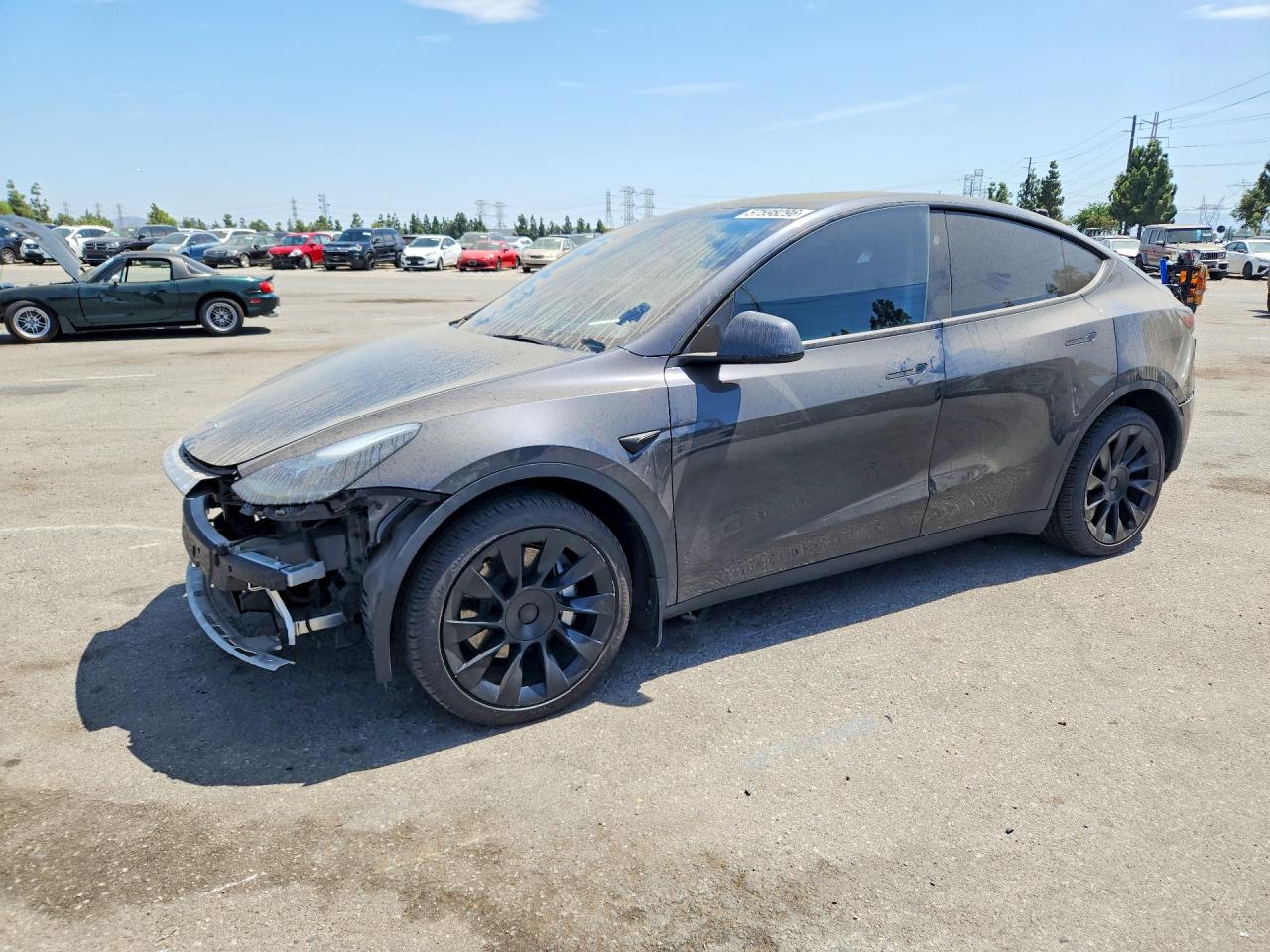 2024 TESLA MODEL Y