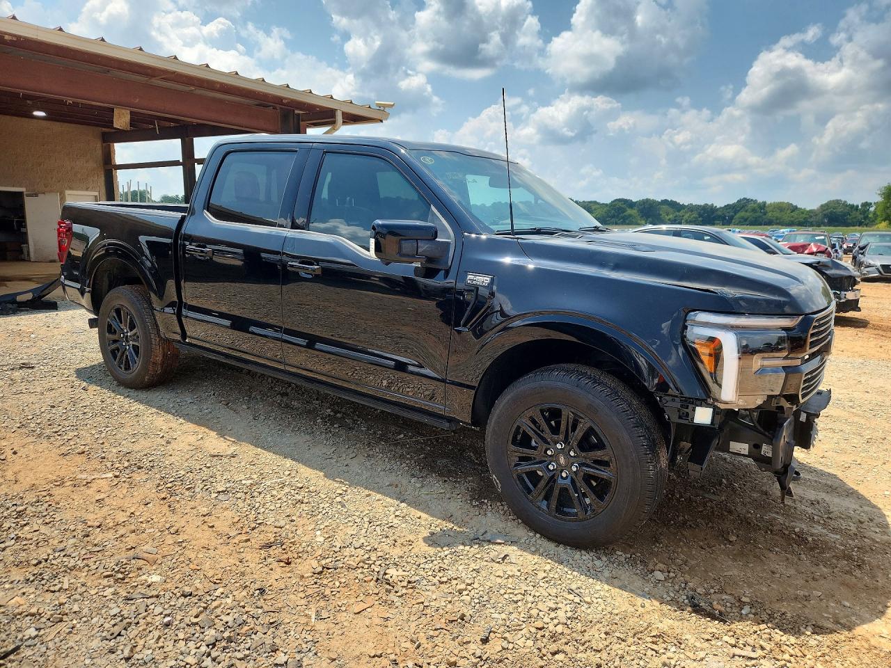 2024 FORD F150 PLATINUM — снимка 4