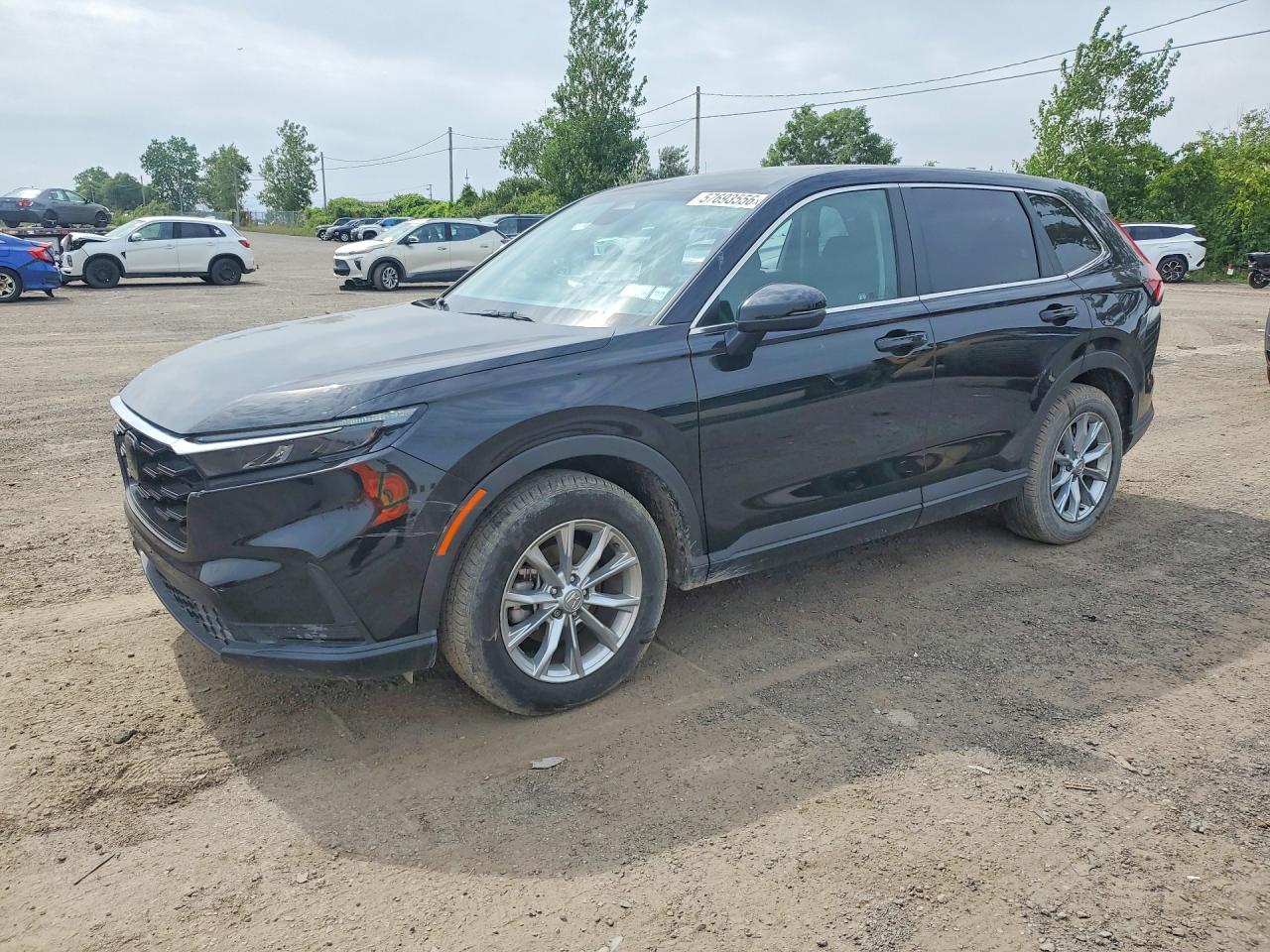 2025 HONDA CR-V EX