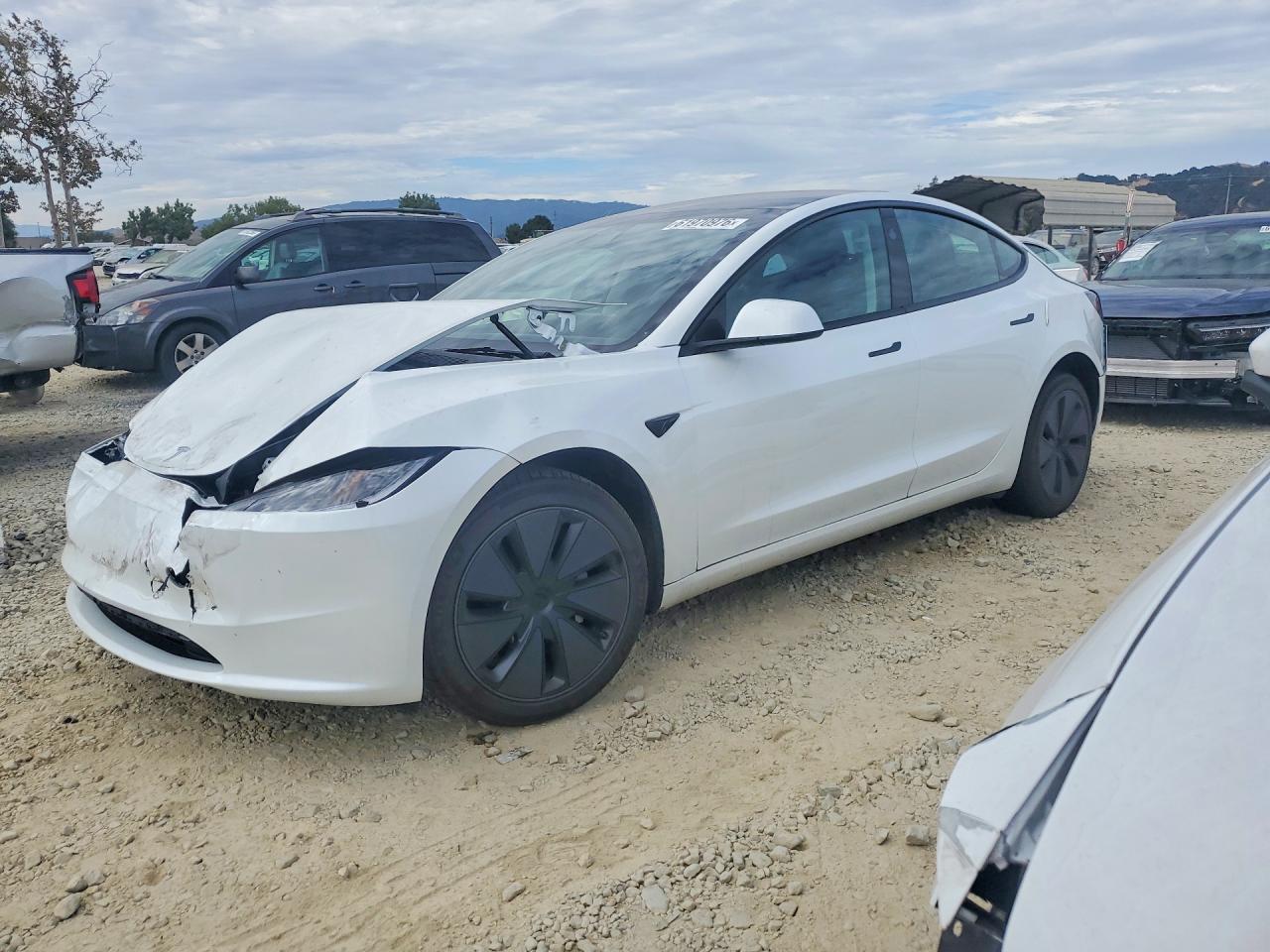 2025 TESLA MODEL 3