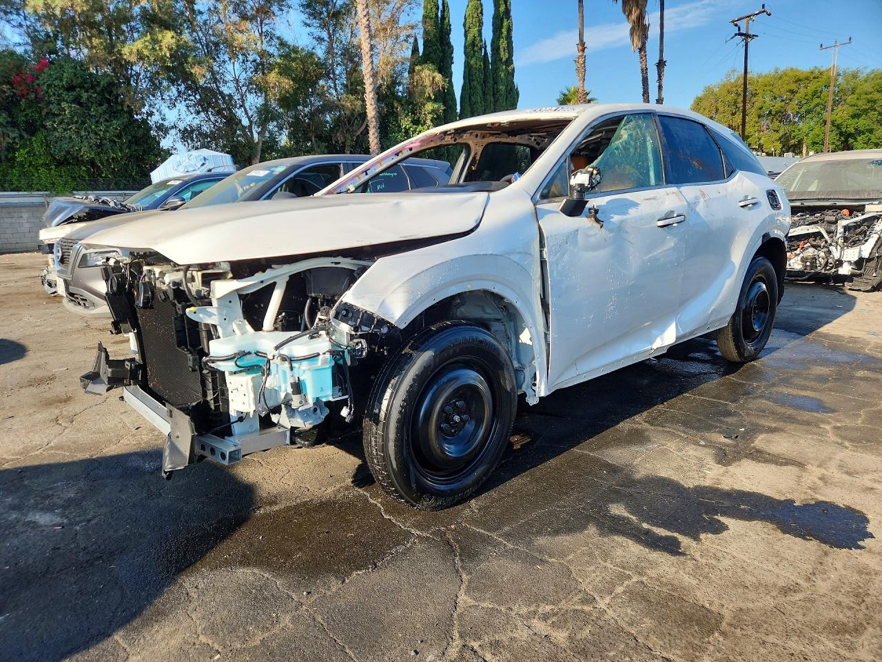 2025 LEXUS RX 350 PREMIUM
