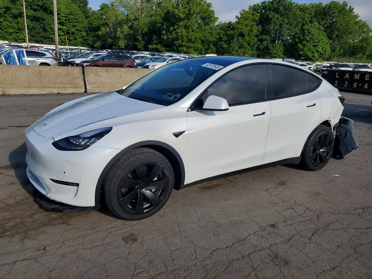 2021 TESLA MODEL Y
