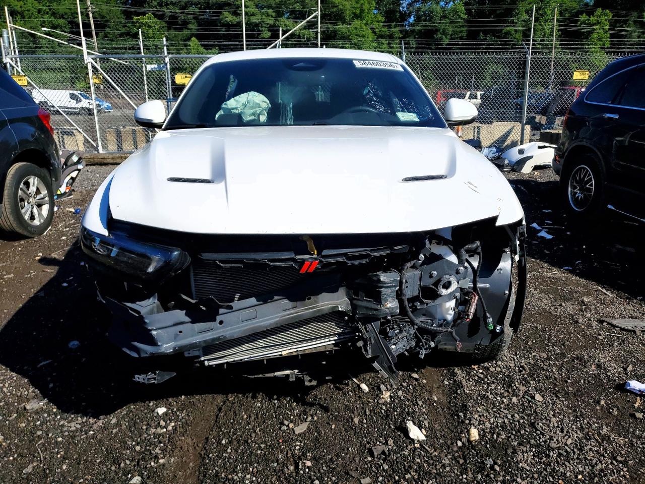 2024 DODGE HORNET R/T — снимка 5