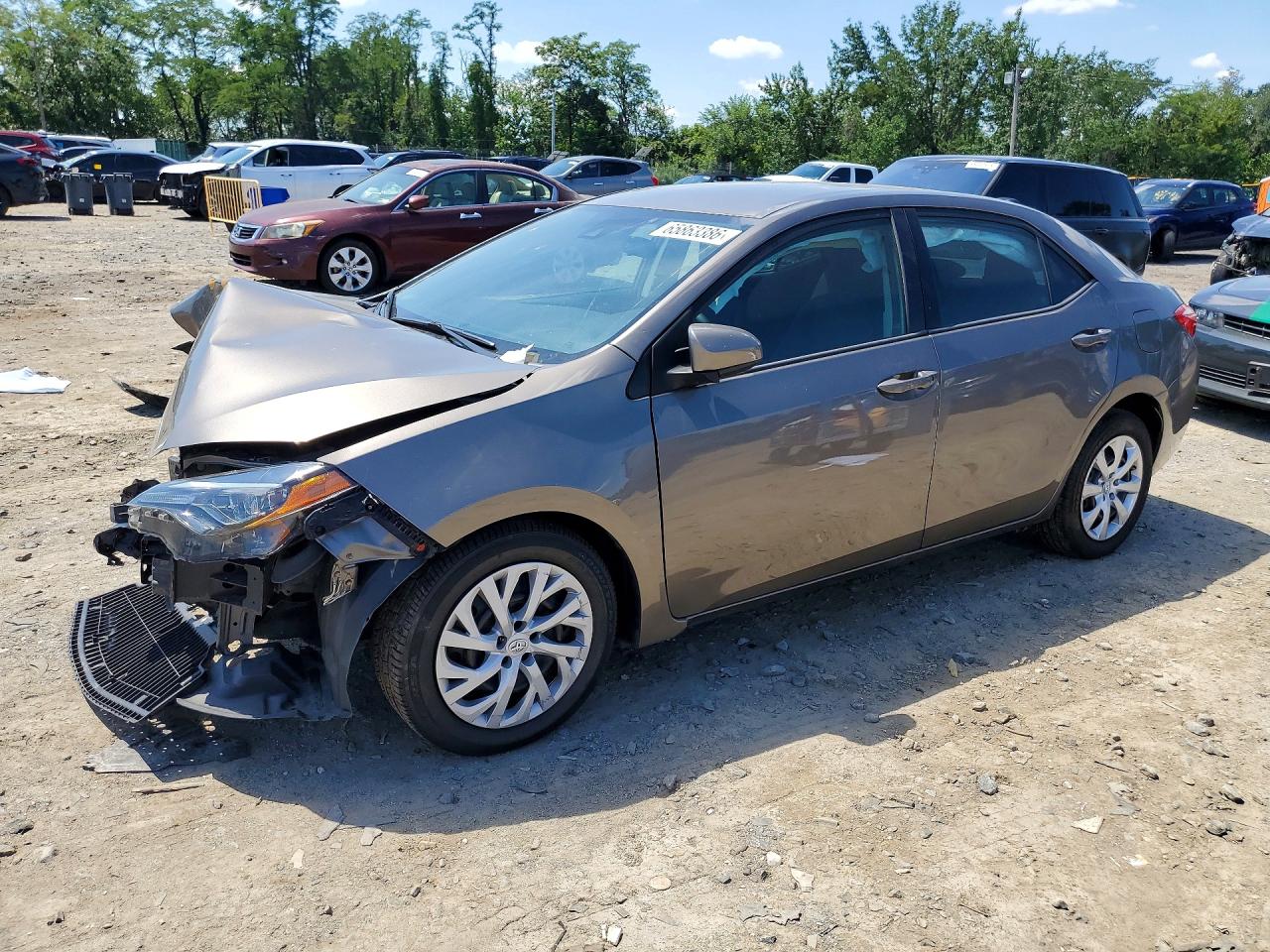 2019 TOYOTA COROLLA LE