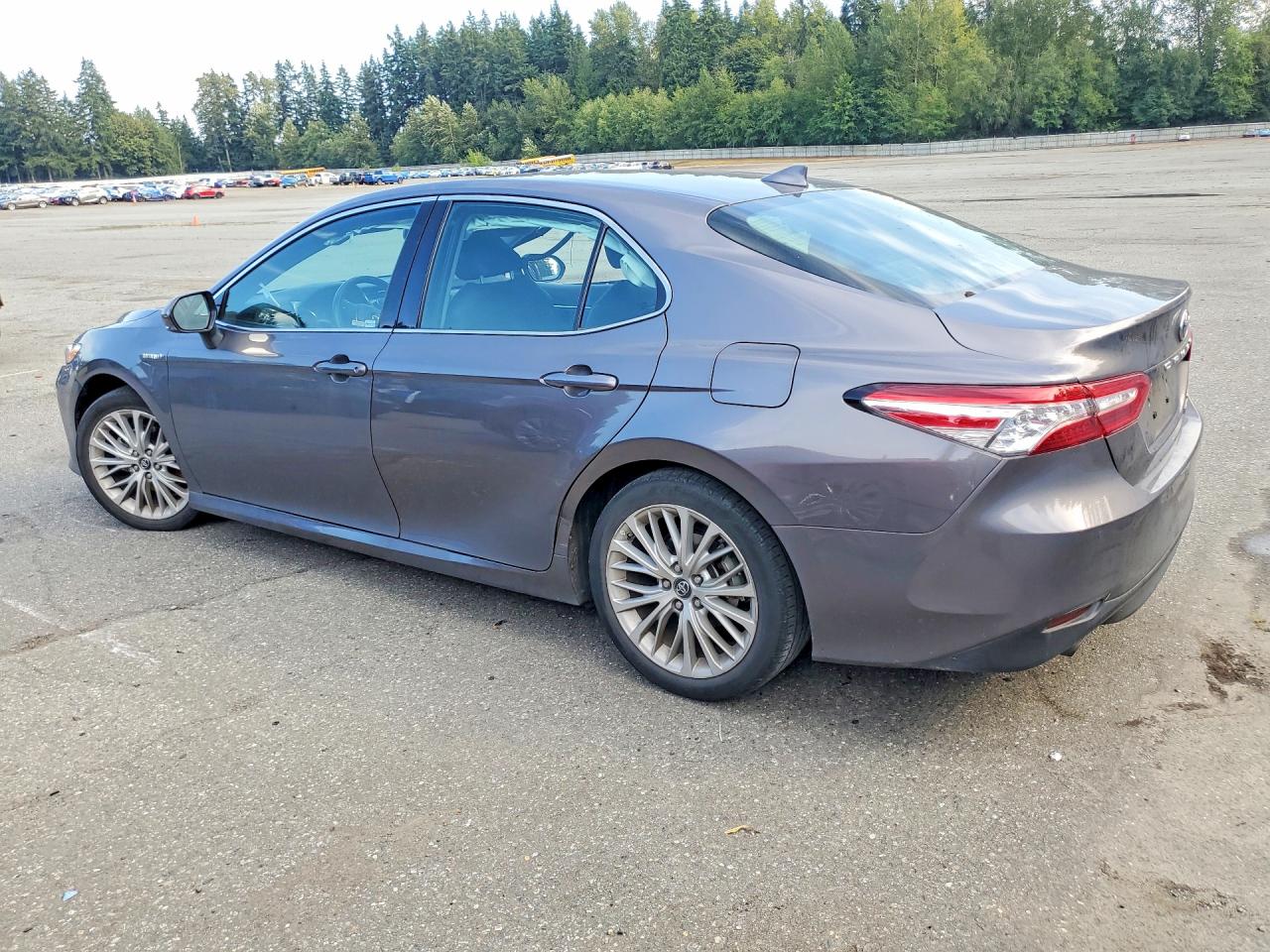 2019 TOYOTA CAMRY HYBRID XLE — снимка 2