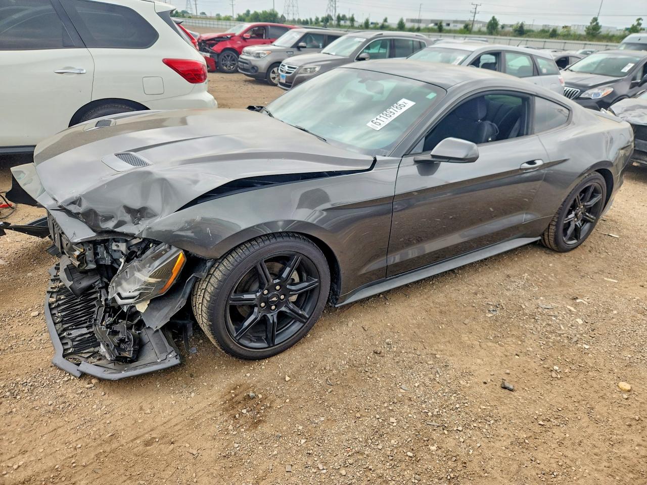 2019 FORD MUSTANG