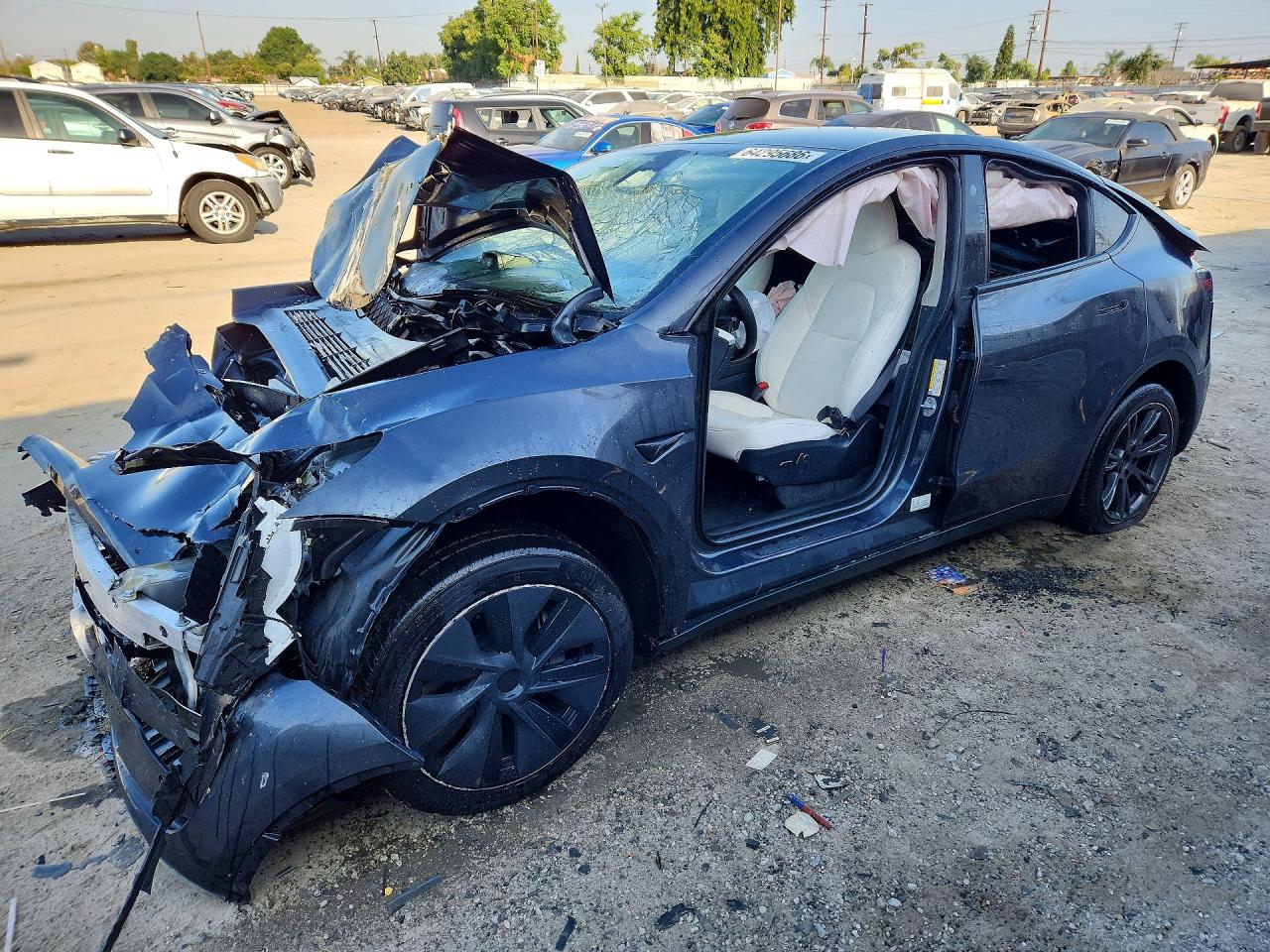 2025 TESLA MODEL Y