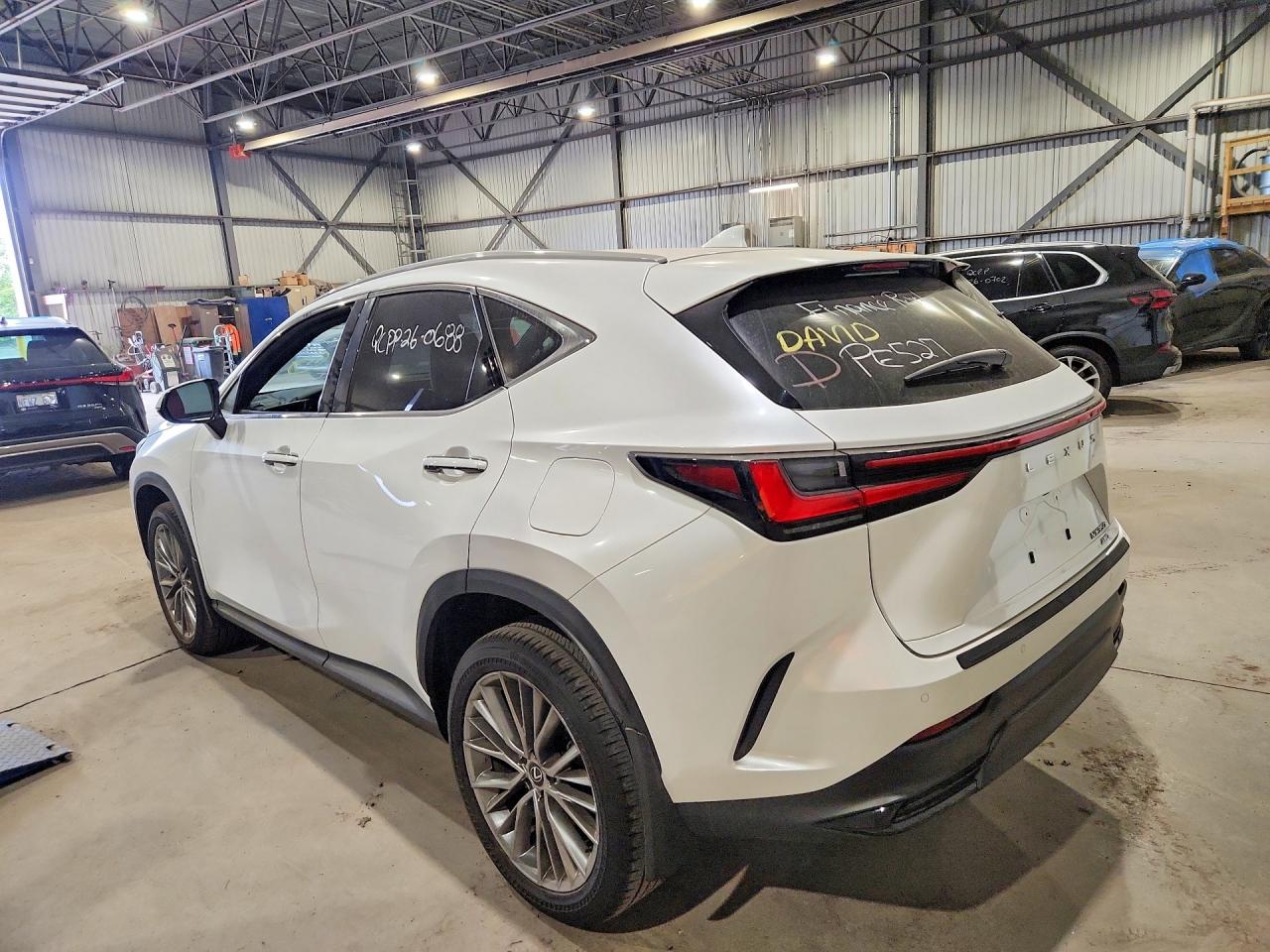 2024 LEXUS NX 350 PREMIUM — снимка 2