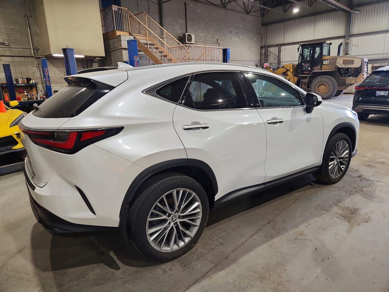 2024 LEXUS NX 350 PREMIUM — снимка 3