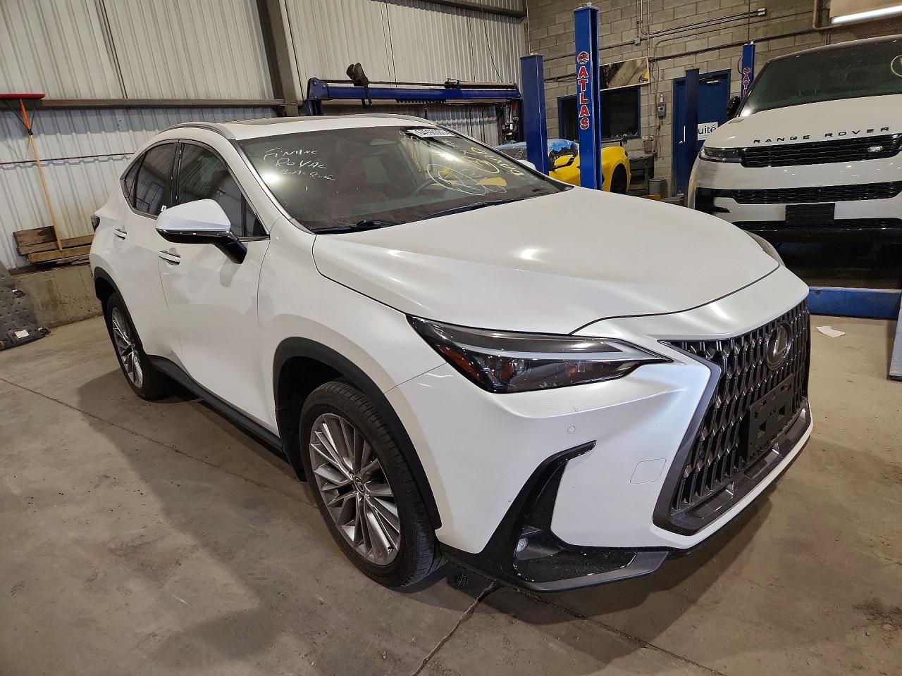 2024 LEXUS NX 350 PREMIUM — снимка 4