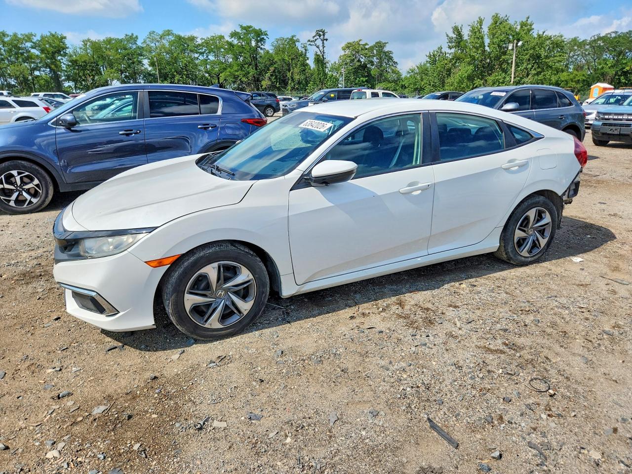 2019 HONDA CIVIC