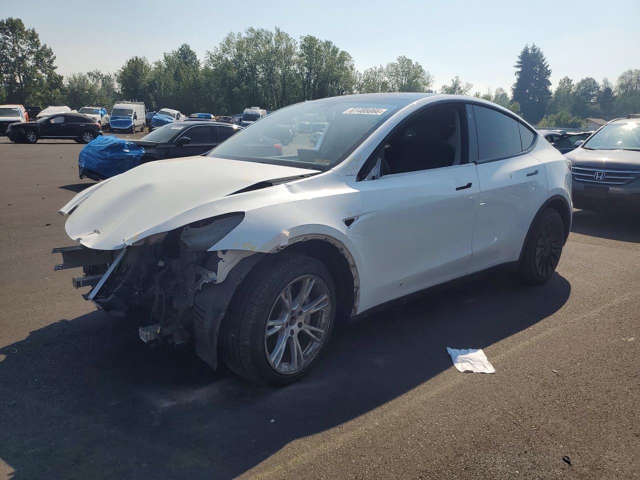 2021 TESLA MODEL Y