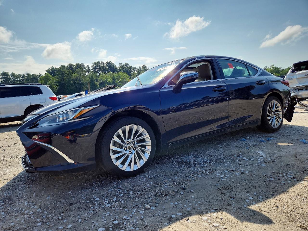 2019 LEXUS ES 350