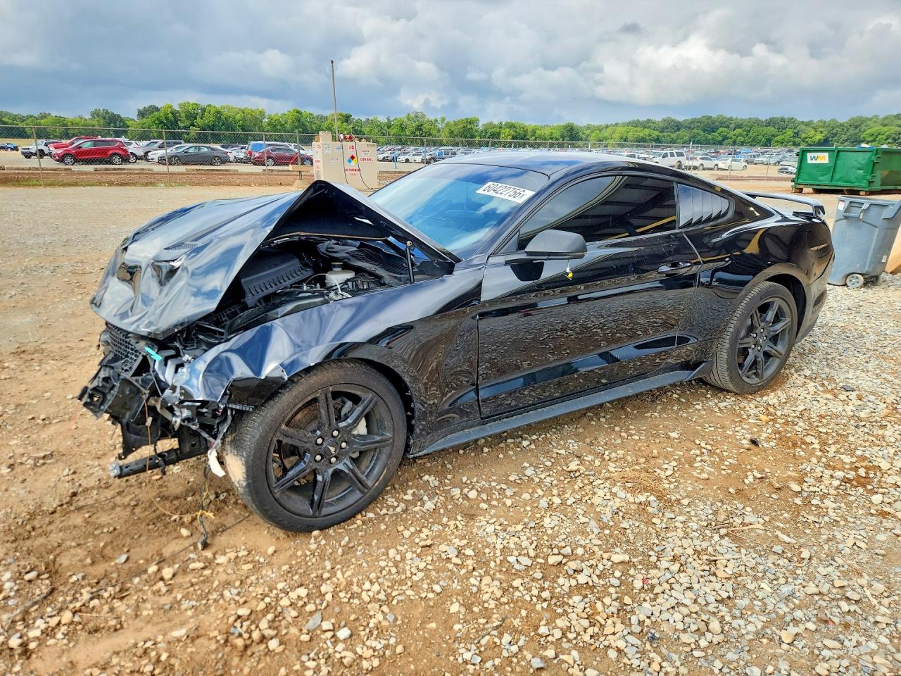 2019 FORD MUSTANG