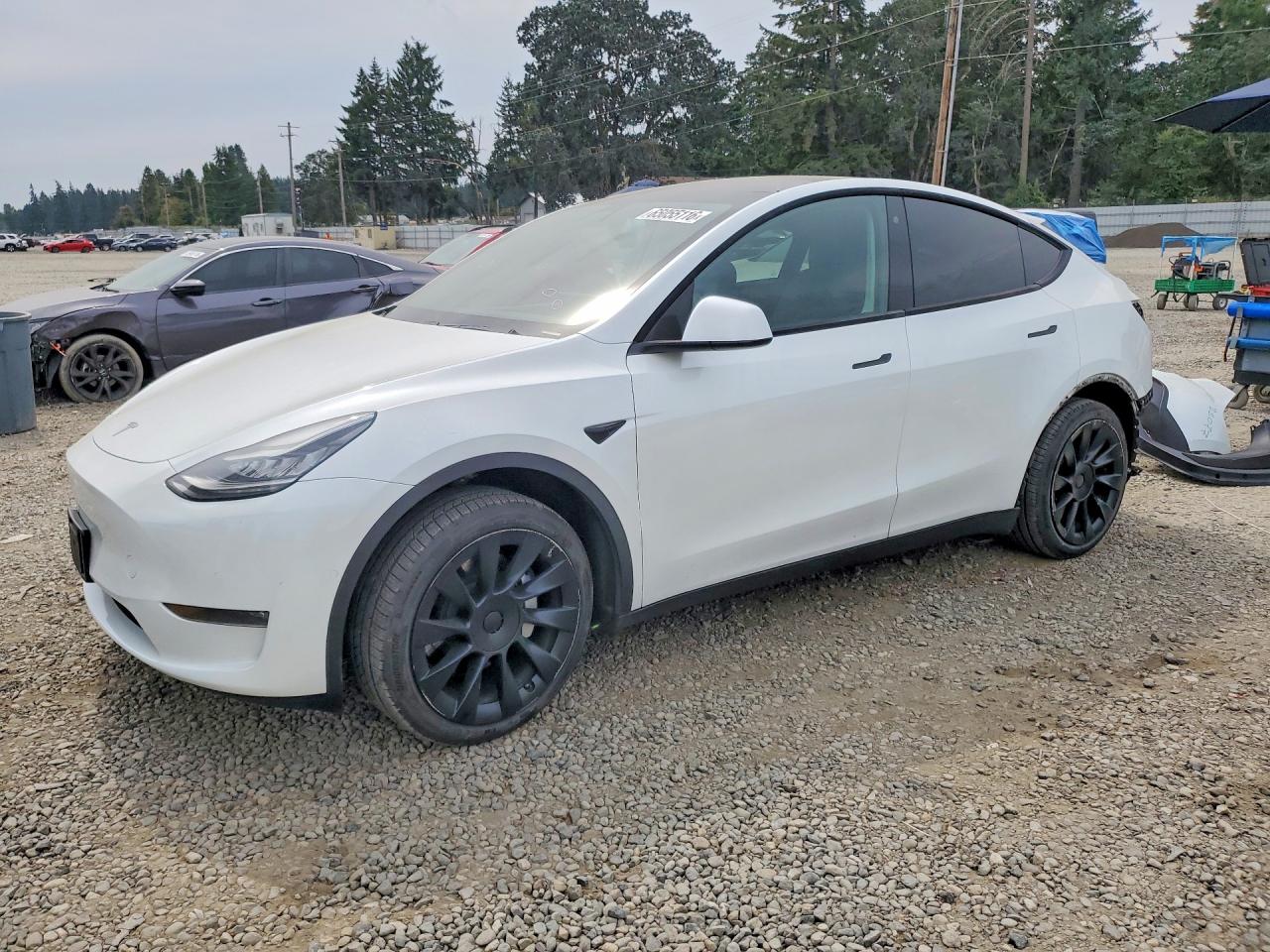 2020 TESLA MODEL Y
