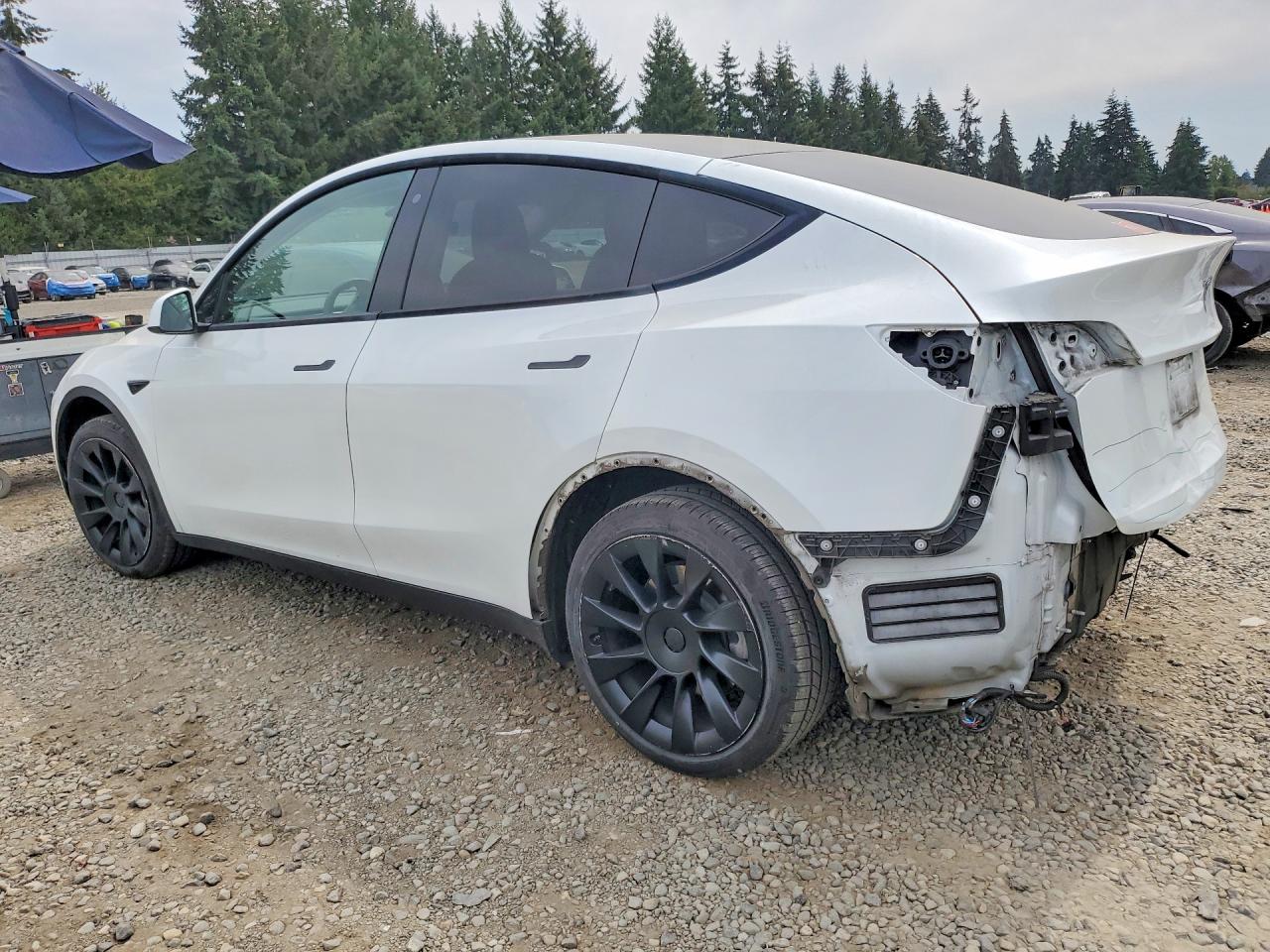 2020 TESLA MODEL Y — снимка 2