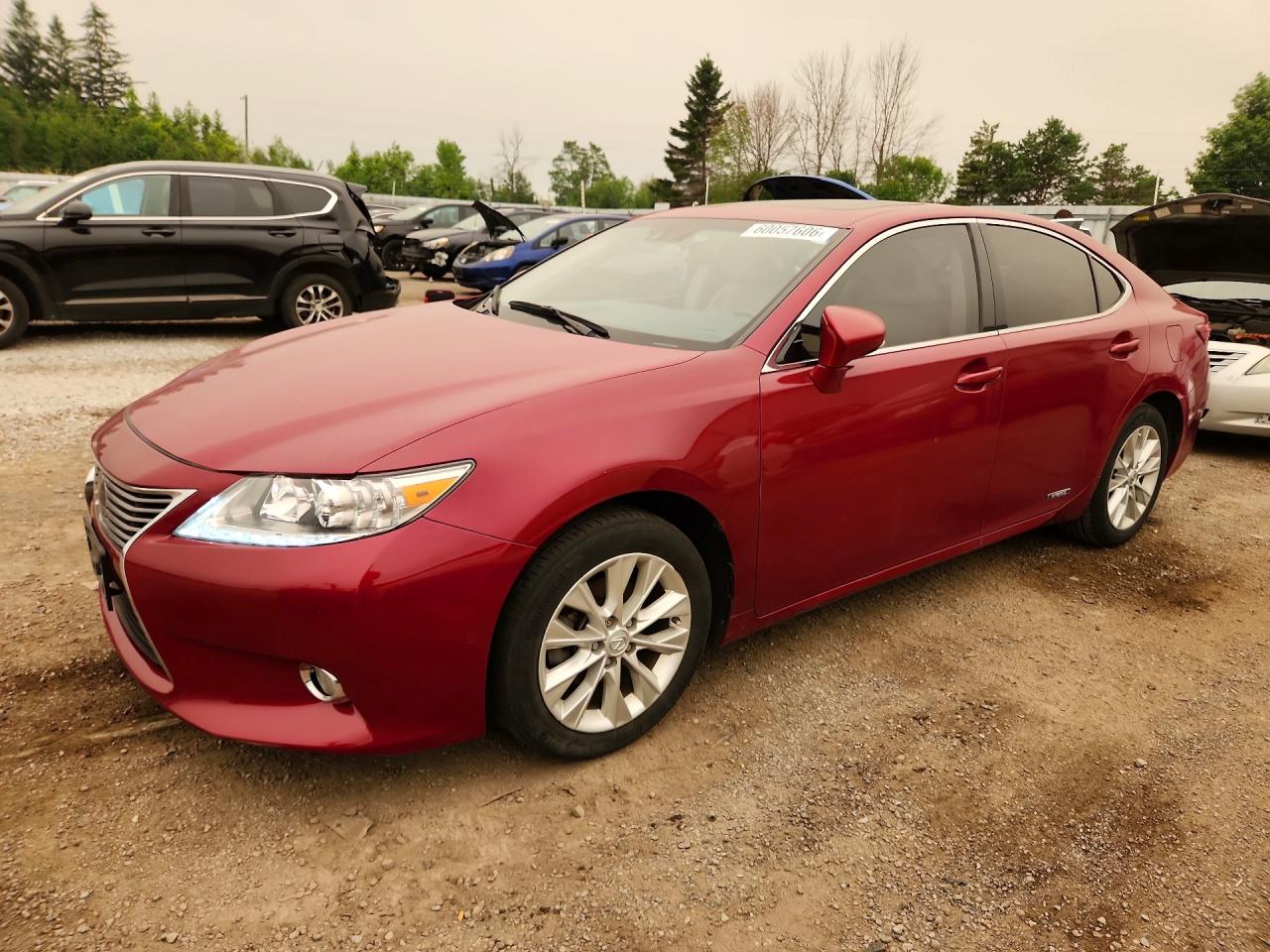 2013 LEXUS ES 300H