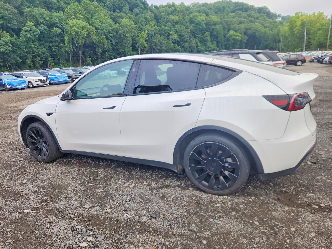2023 TESLA MODEL Y — снимка 2