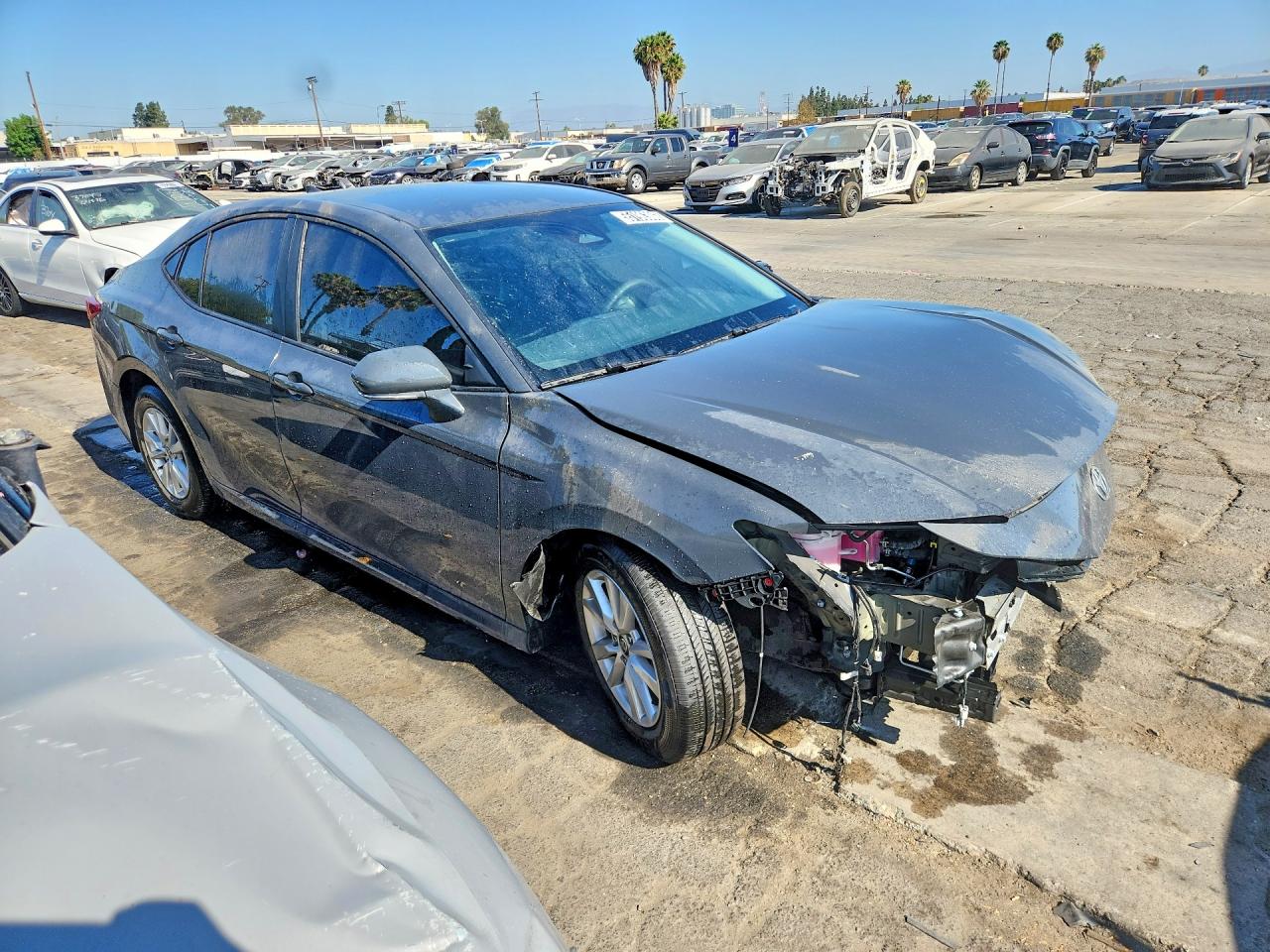 2026 TOYOTA CAMRY LE — снимка 4