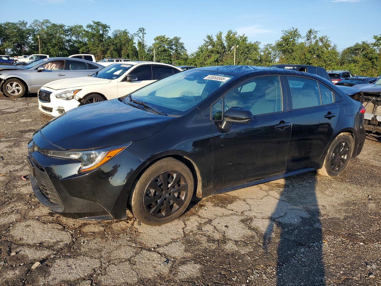 2024 TOYOTA COROLLA LE