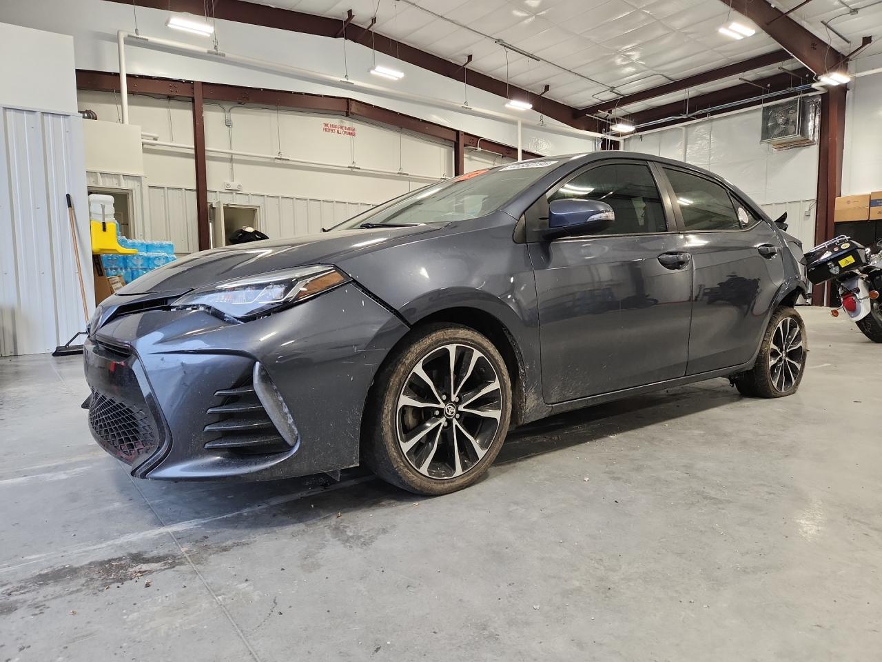 2019 TOYOTA COROLLA L