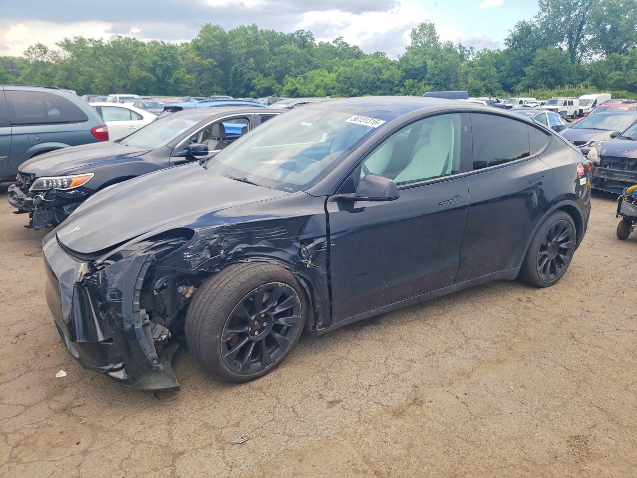 2023 TESLA MODEL Y