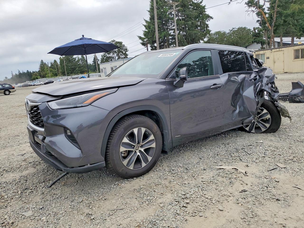 2024 TOYOTA HIGHLANDER HYBRID XLE