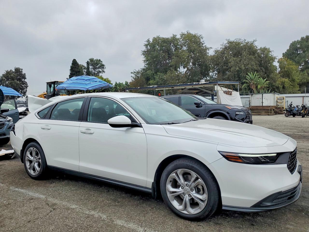 2025 HONDA ACCORD LX — снимка 4