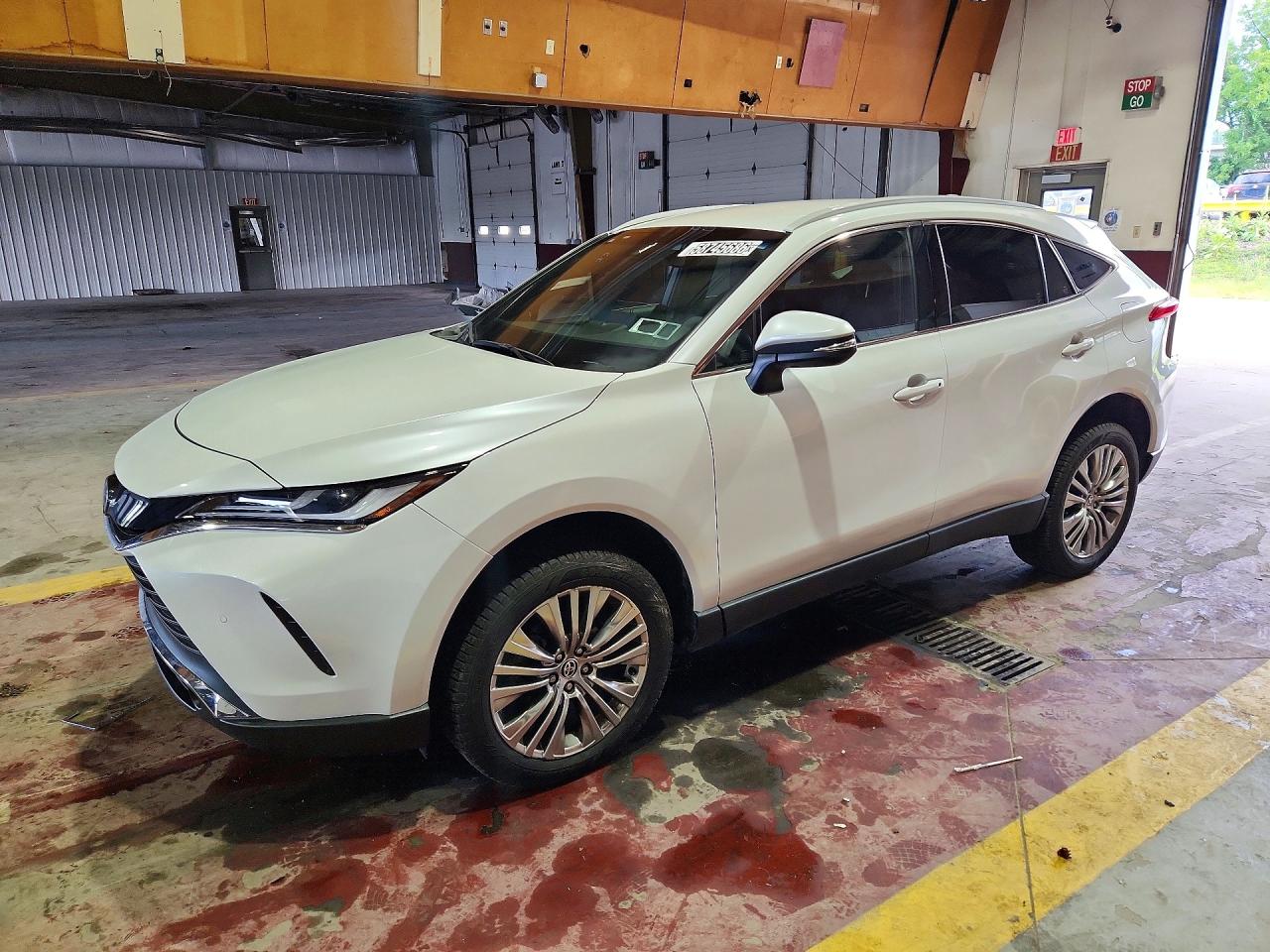 2024 TOYOTA VENZA XLE