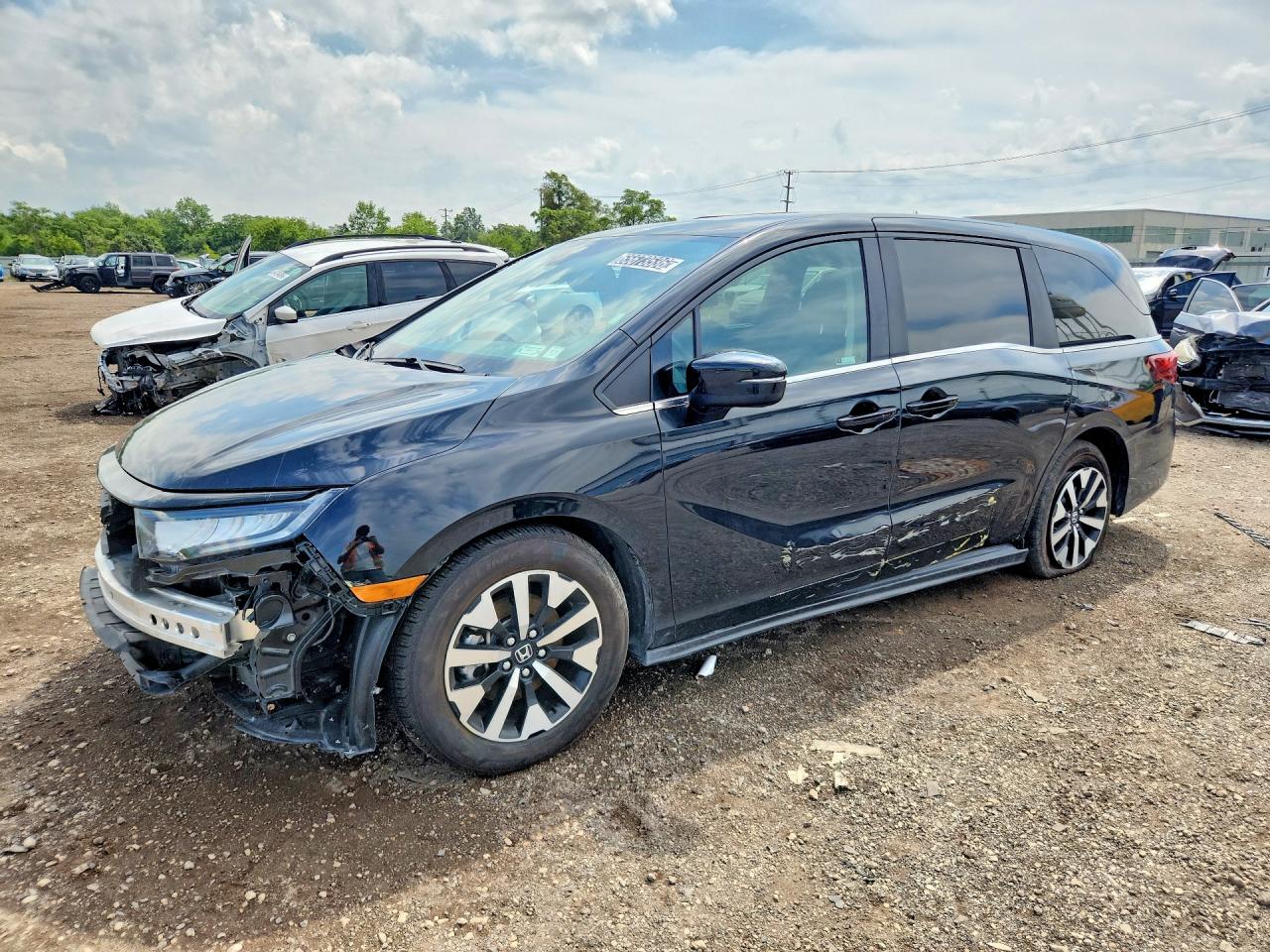 2025 HONDA ODYSSEY EXL