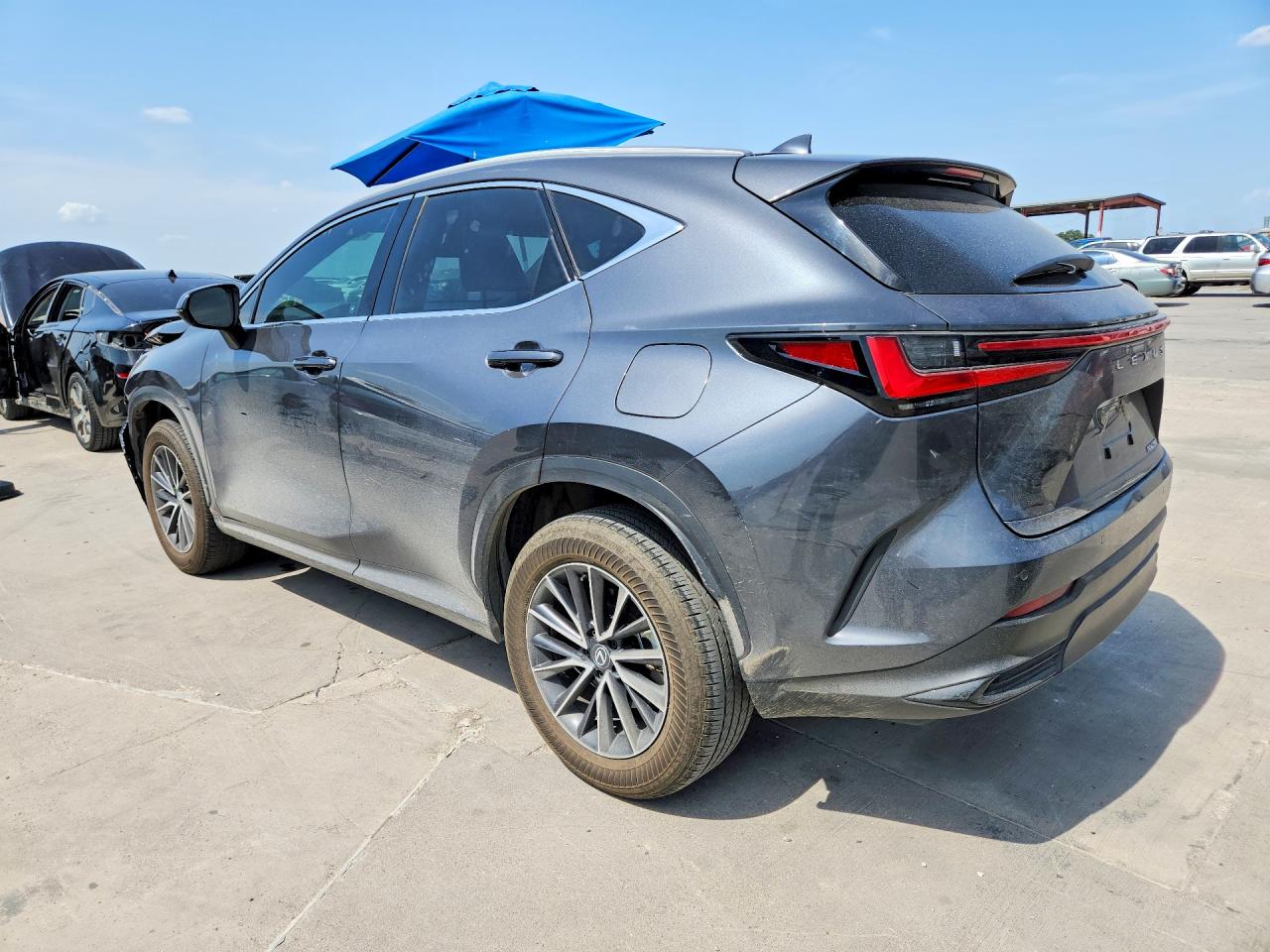 2024 LEXUS NX 250 PREMIUM — снимка 2