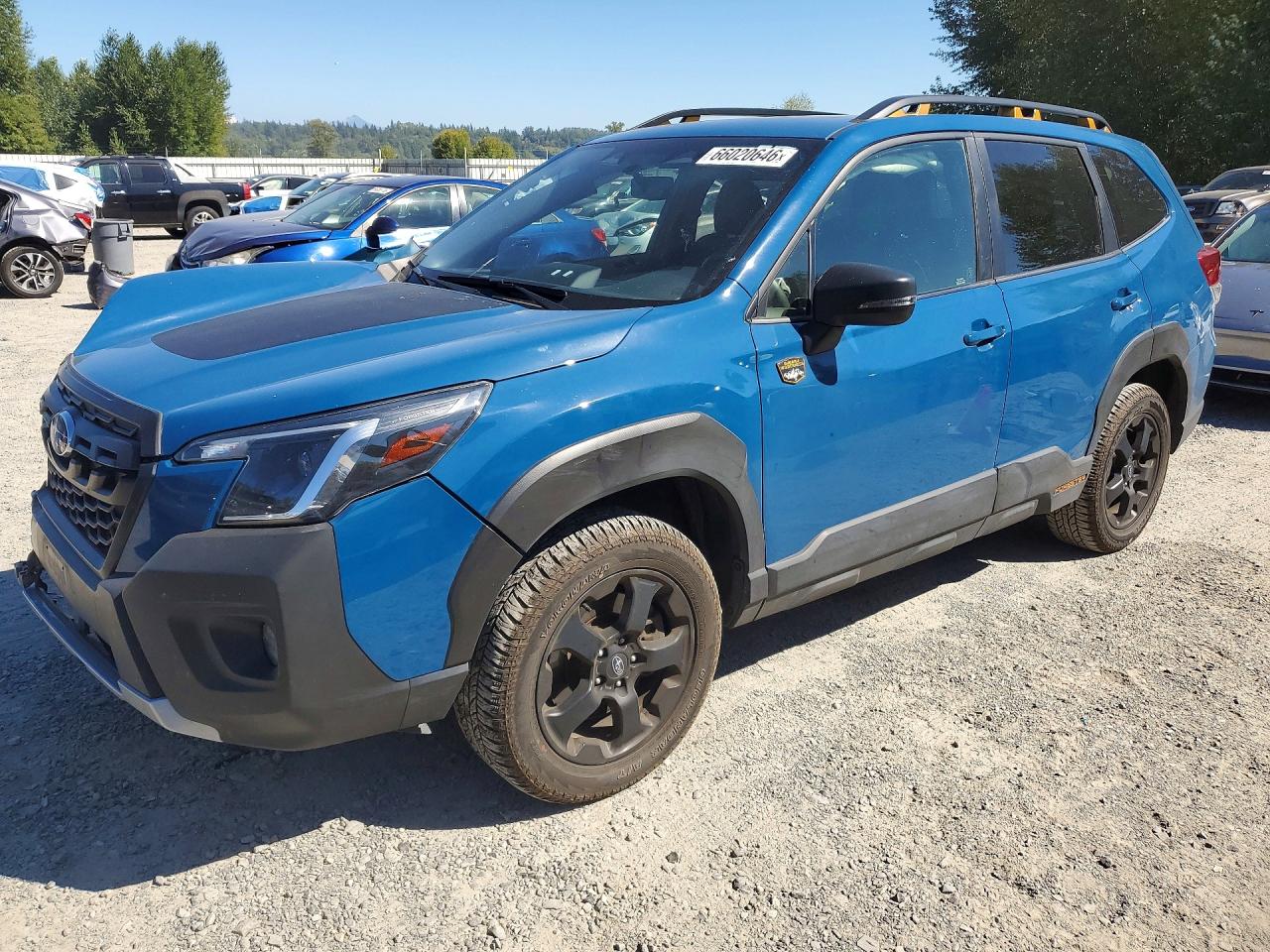 2024 SUBARU FORESTER WILDERNESS