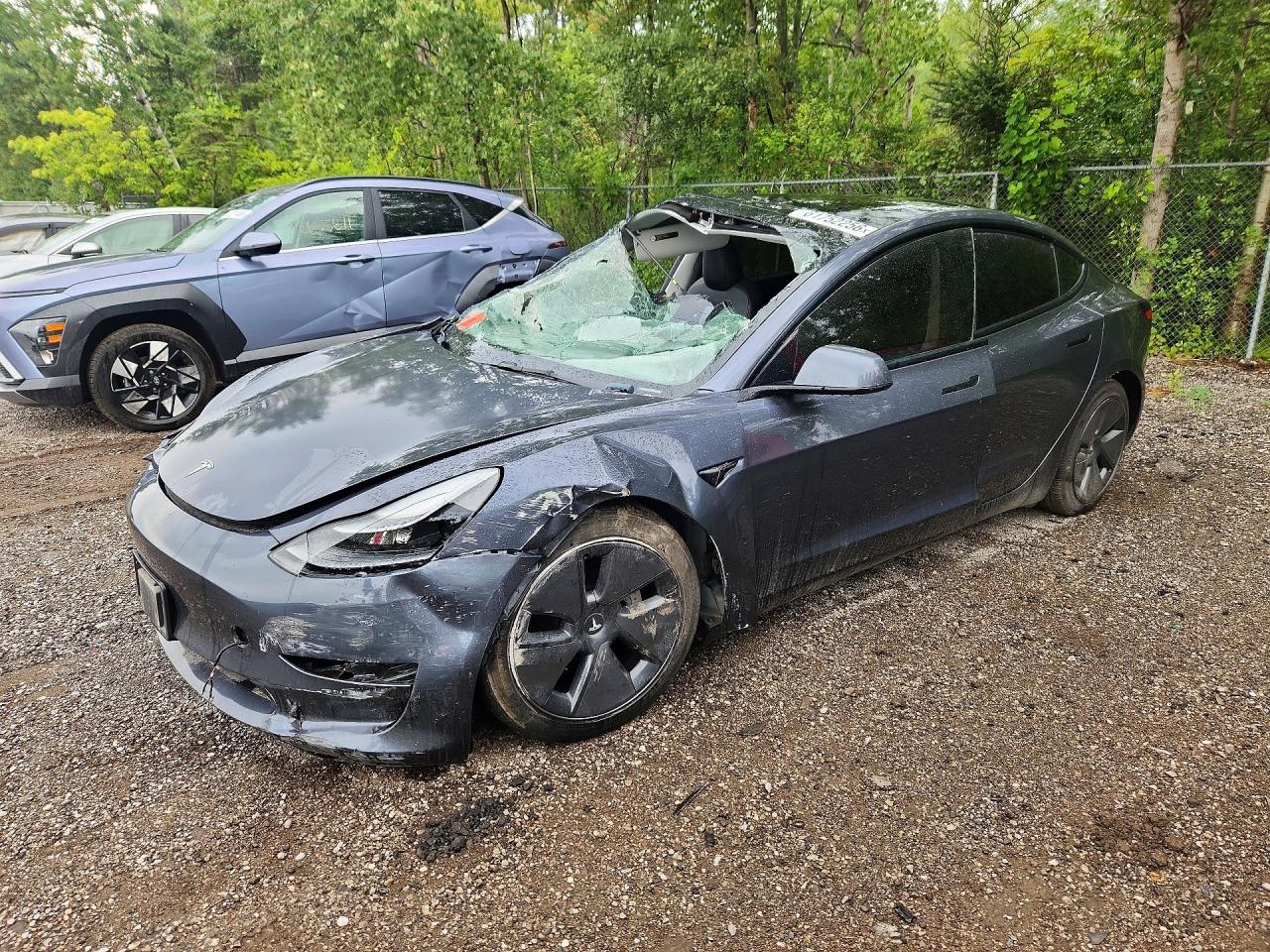 2023 TESLA MODEL 3