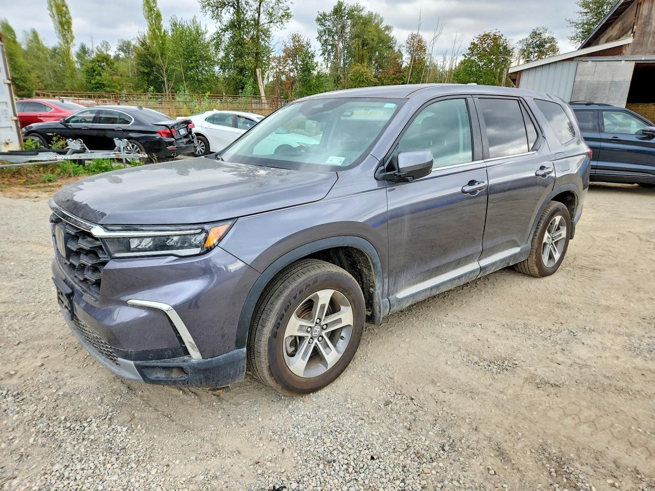 2025 HONDA PILOT EXL