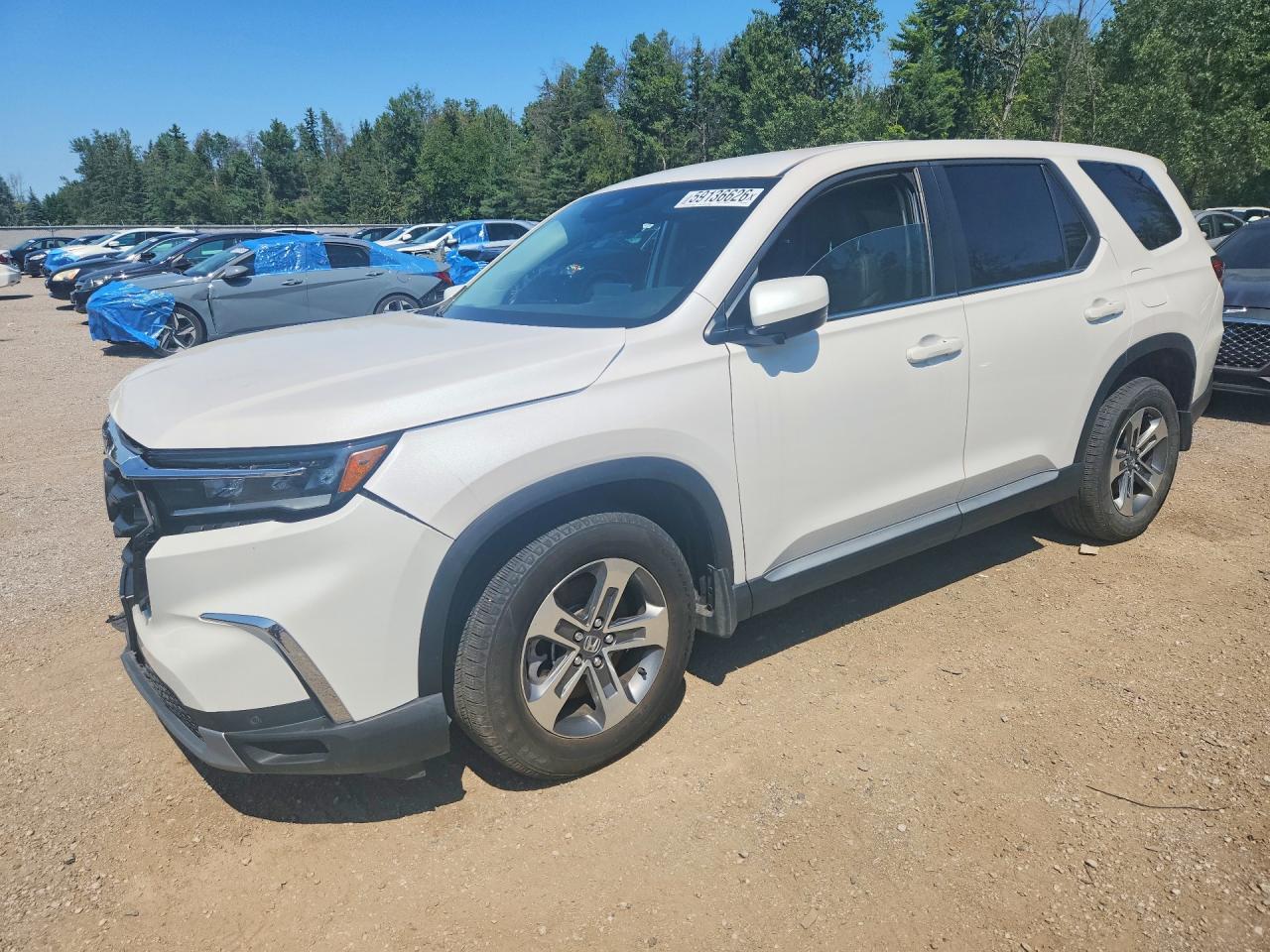2024 HONDA PILOT EXL