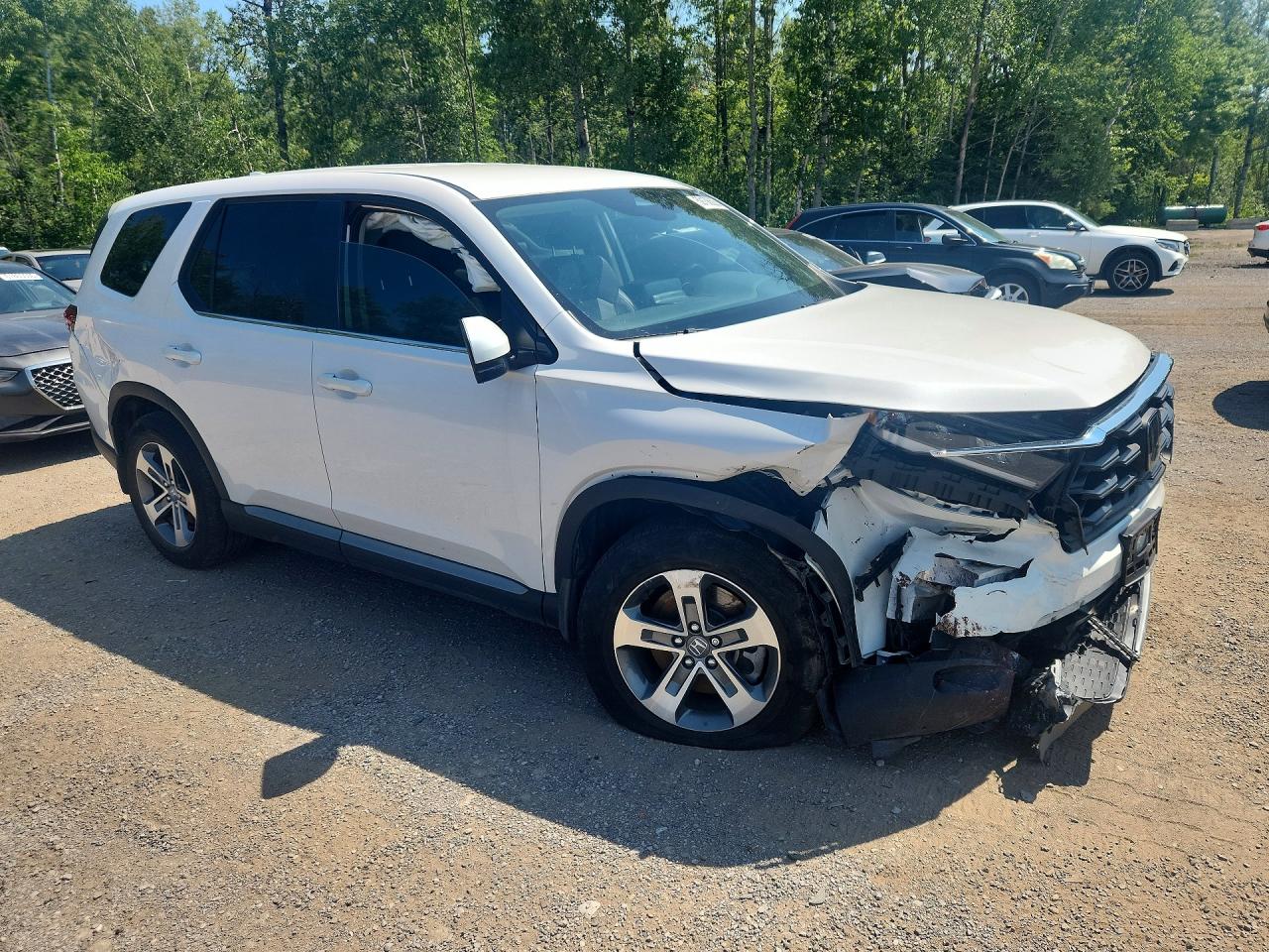 2024 HONDA PILOT EXL — снимка 4