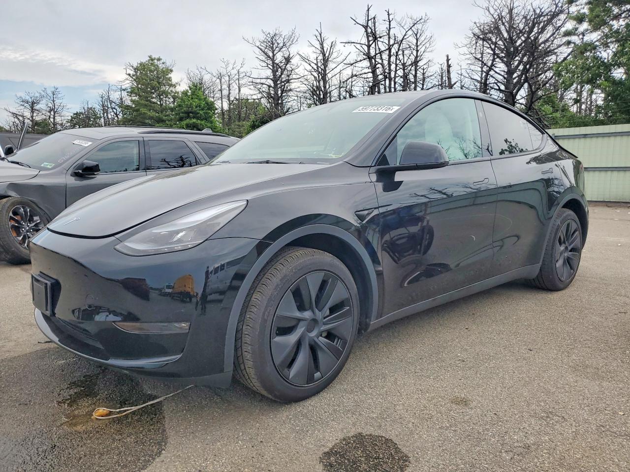 2025 TESLA MODEL Y