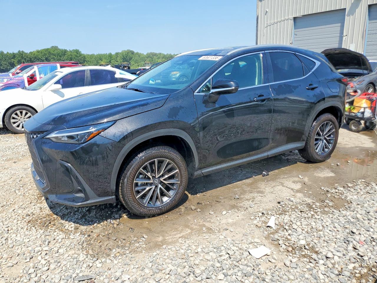 2025 LEXUS NX 250 PREMIUM